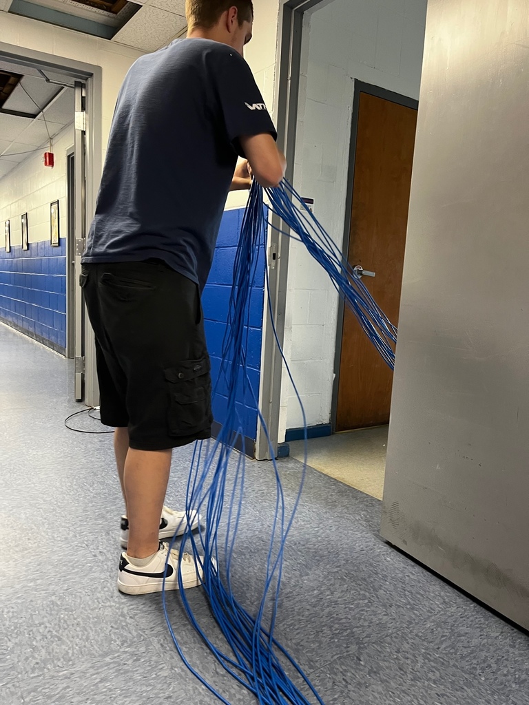 IT worker handling network wire